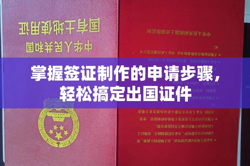 庆城掌握签证制作的申请步骤，轻松搞定出国证件